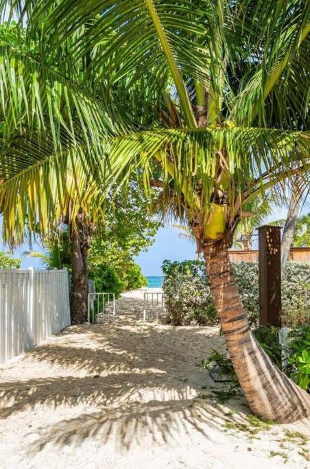 Beach Living At Island Pine Villas Τζώρτζταουν Εξωτερικό φωτογραφία